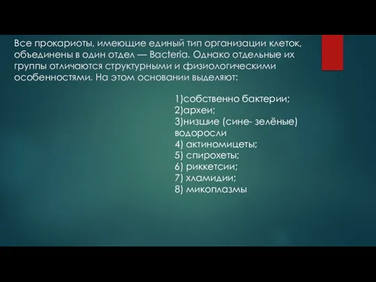 Все прокариоты, имеющие единый тип организации клеток, объединены в один отдел —