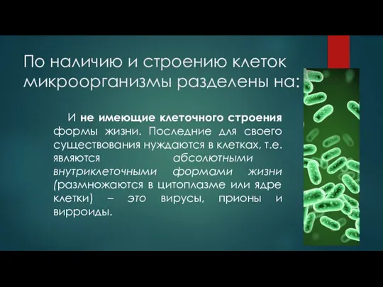 По наличию и строению клеток микроорганизмы разделены на: И не имеющие клеточного