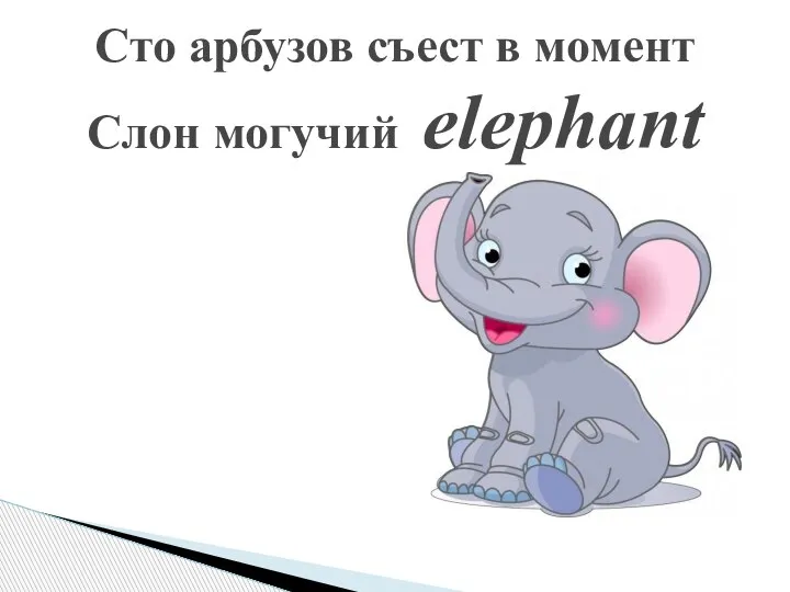 Сто арбузов съест в момент Слон могучий elephant