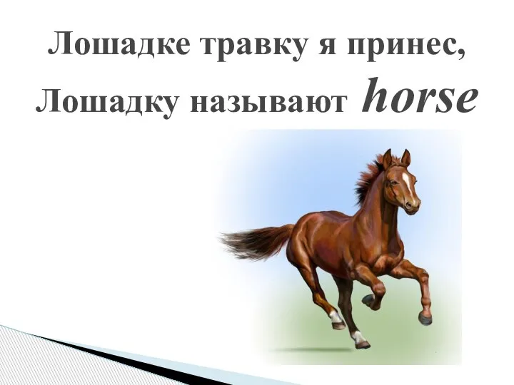 Лошадке травку я принес, Лошадку называют horse