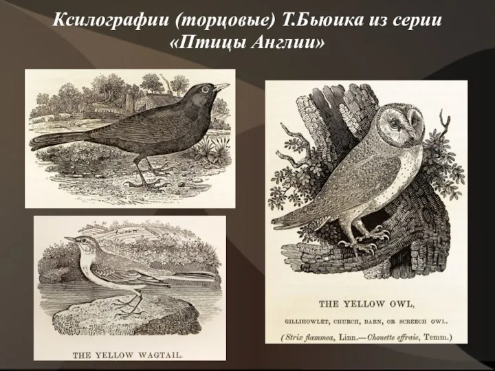 Ксилографии (торцовые) Т.Бьюика из серии «Птицы Англии»