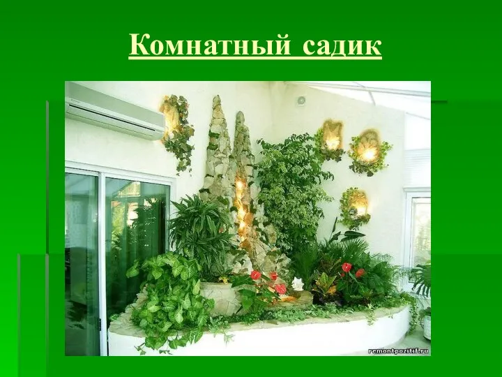 Комнатный садик