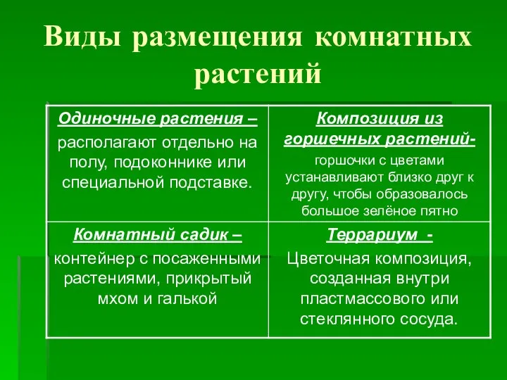 Виды размещения комнатных растений