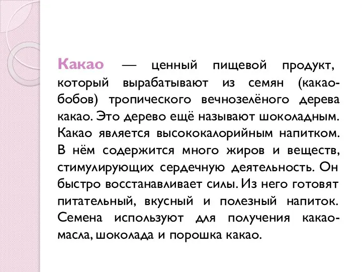 Какао — ценный пищевой продукт, который вырабатывают из семян (какао-бобов) тропического вечнозелёного