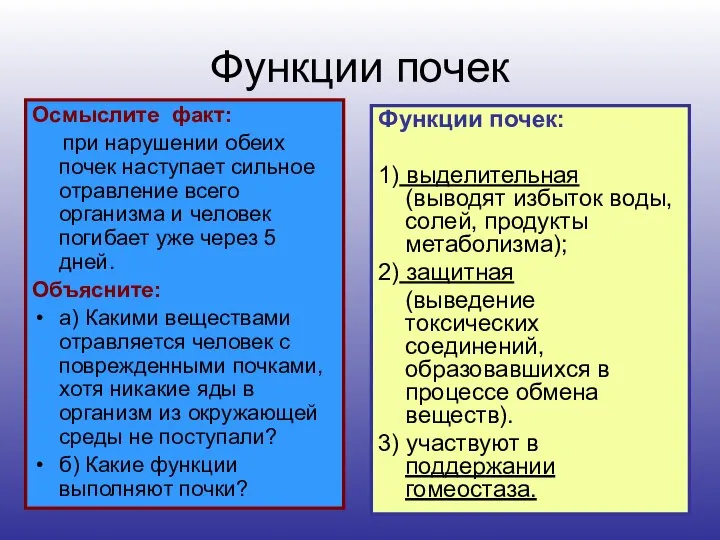 Функции почек Осмыслите факт: при нарушении обеих почек наступает сильное отравление всего