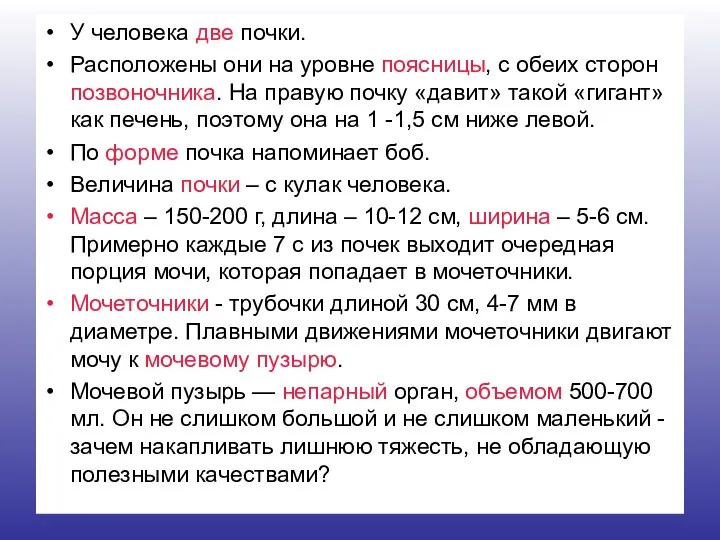 У человека две почки. Расположены они на уровне поясницы, с обеих сторон