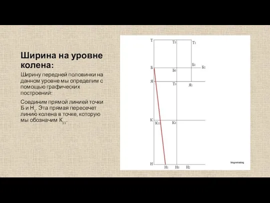 Ширина на уровне колена: Ширину передней половинки на данном уровне мы определим