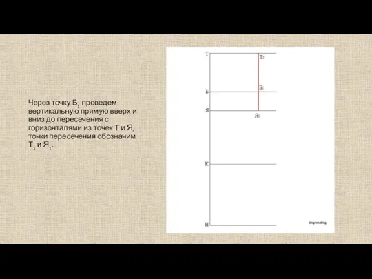 Через точку Б1 проведем вертикальную прямую вверх и вниз до пересечения с