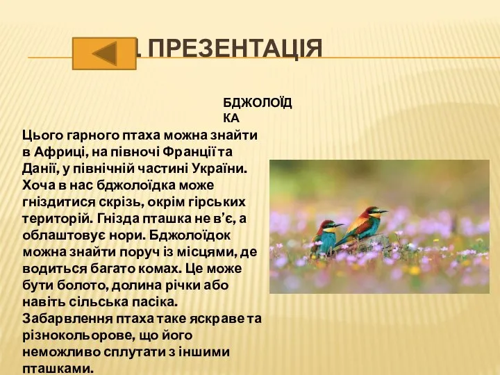 1 ПРЕЗЕНТАЦІЯ БДЖОЛОЇДКА Цього гарного птаха можна знайти в Африці, на півночі