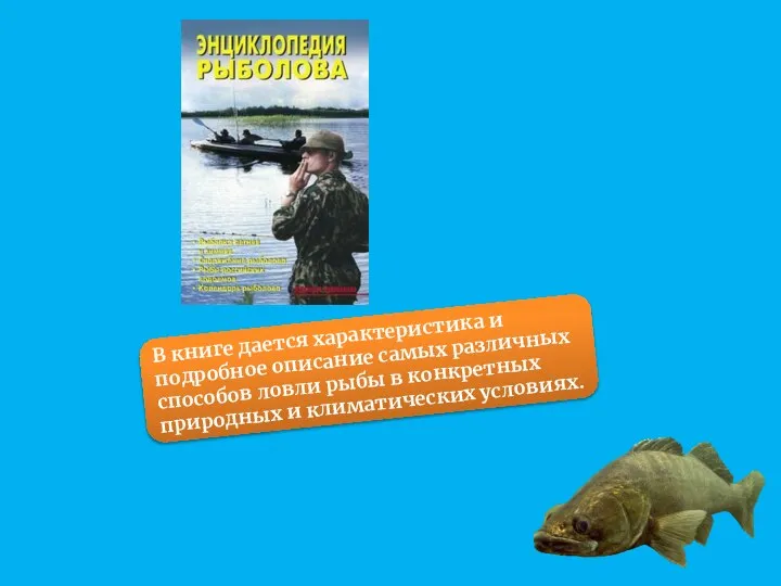В книге дается характеристика и подробное описание самых различных способов ловли рыбы