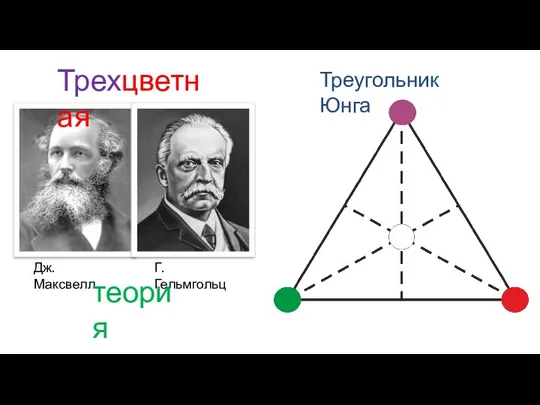Треугольник Юнга Трехцветная Дж. Максвелл Г. Гельмгольц теория