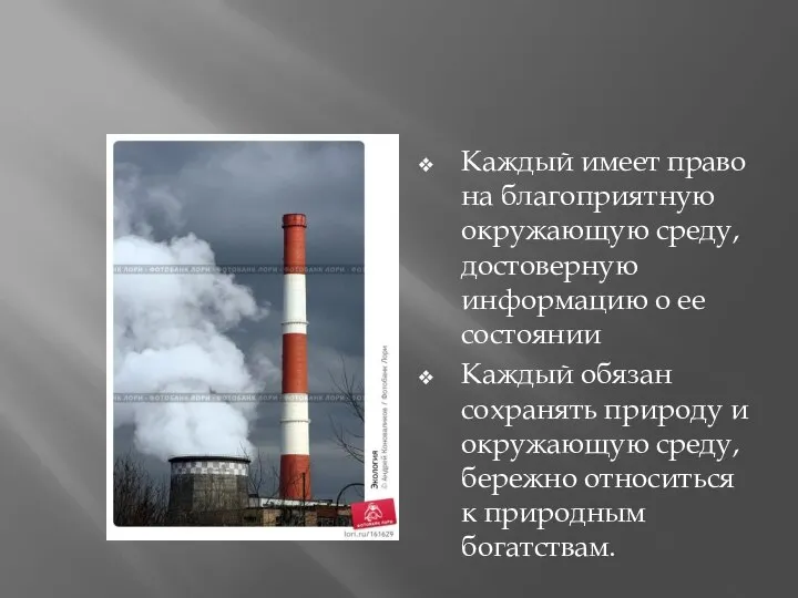 Каждый имеет право на благоприятную окружающую среду, достоверную информацию о ее состоянии