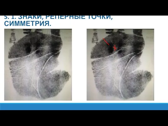 5. 1. ЗНАКИ, РЕПЕРНЫЕ ТОЧКИ, СИММЕТРИЯ.