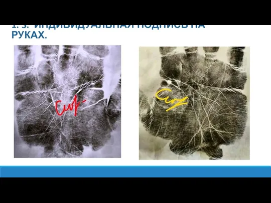 1. 3. ИНДИВИДУАЛЬНАЯ ПОДПИСЬ НА РУКАХ.