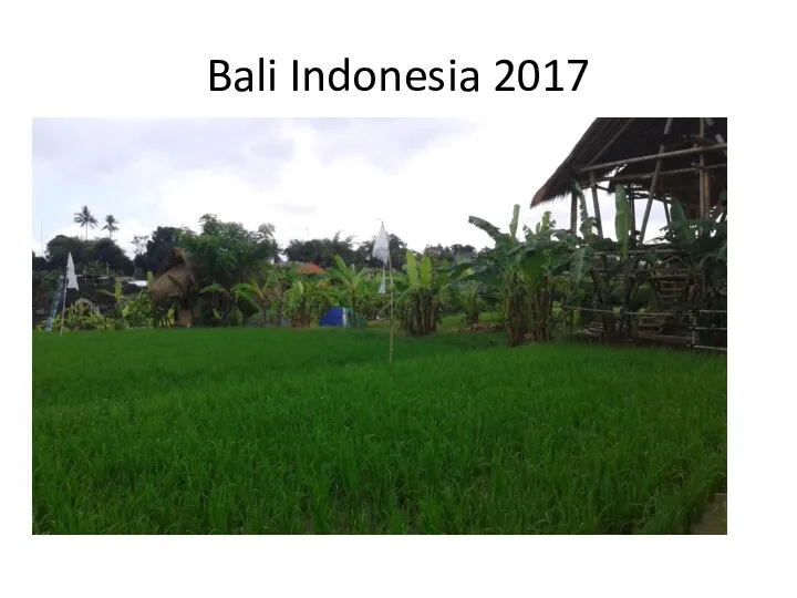Bali Indonesia 2017