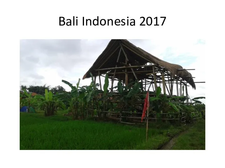Bali Indonesia 2017