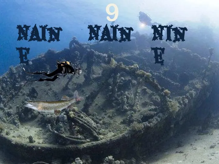 Nain Naine 9 Nine
