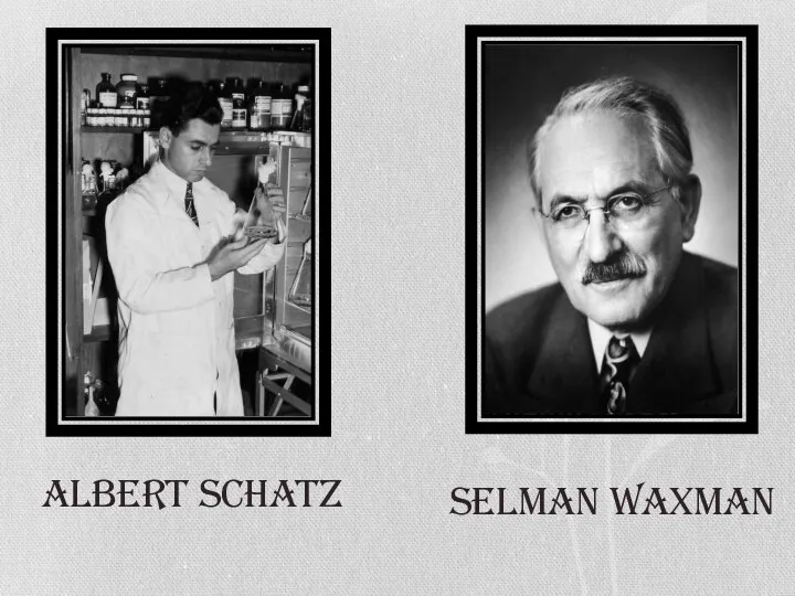 Albert Schatz Selman Waxman