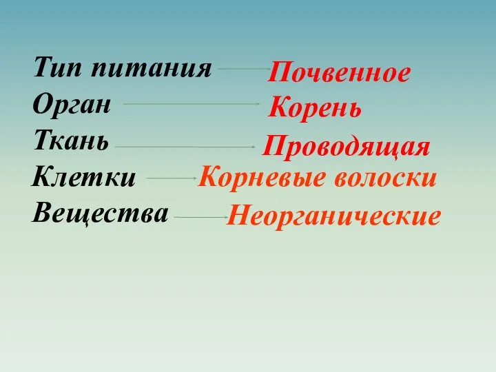 Тип питания Орган Ткань Клетки Вещества Почвенное Корень Проводящая Корневые волоски Неорганические