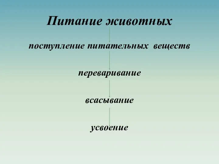 Питание животных поступление питательных веществ переваривание всасывание усвоение