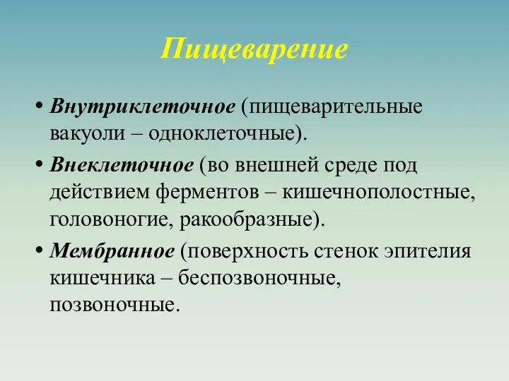 Пищеварение Внутриклеточное (пищеварительные вакуоли – одноклеточные). Внеклеточное (во внешней среде под действием