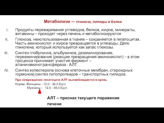 Метаболизм — глюкоза, липиды и белки Продукты переваривания углеводов, белков, жиров, минералы,