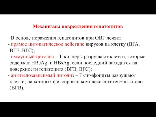 Механизмы повреждения гепатоцитов В основе поражения гепатоцитов при ОВГ лежит: прямое цитопатическое