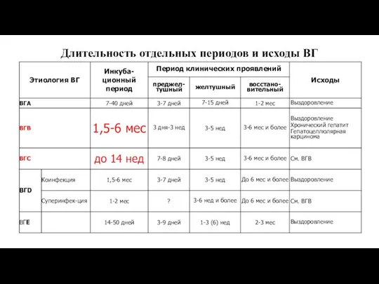 Длительность отдельных периодов и исходы ВГ