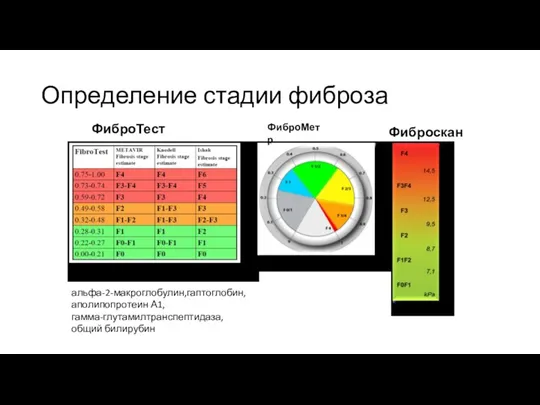 Определение стадии фиброза ФиброТест Фиброскан ФиброМетр альфа-2-макроглобулин,гаптоглобин, аполипопротеин А1, гамма-глутамилтранспептидаза, общий билирубин