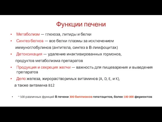 Функции печени Метаболизм — глюкоза, липиды и белки Синтез белков — все