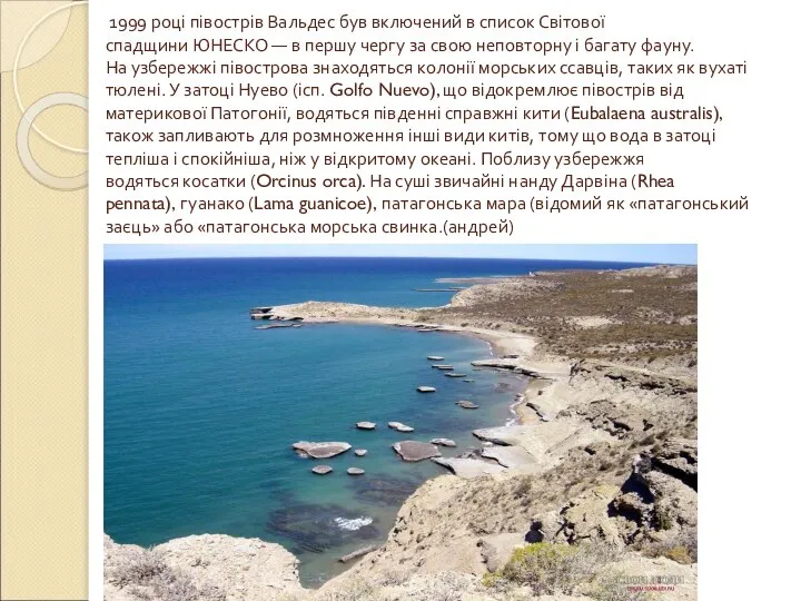 1999 році півострів Вальдес був включений в список Світової спадщини ЮНЕСКО —