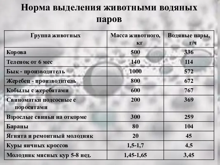 Норма выделения животными водяных паров