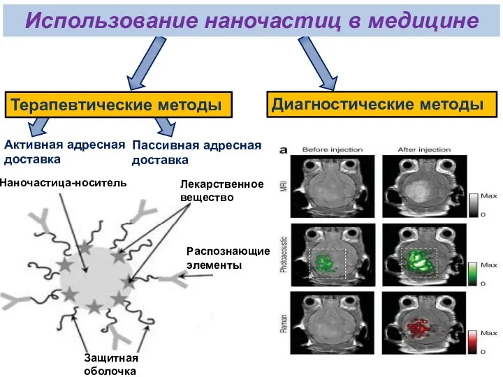 Лекарственное вещество Наночастица-носитель Распознающие элементы Защитная оболочка Терапевтические методы Диагностические методы Использование