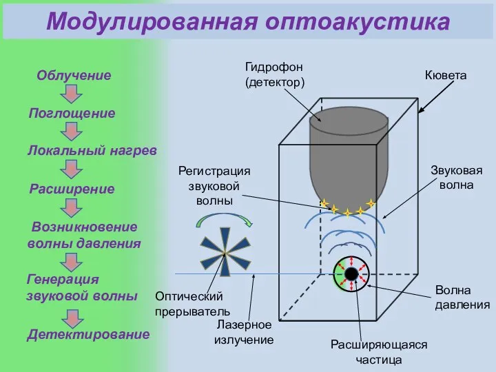 Облучение Поглощение Локальный нагрев Расширение Возникновение волны давления Генерация звуковой волны Детектирование