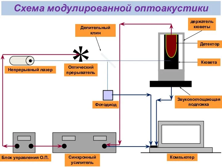 Фотодиод Оптический прерыватель Непрерывный лазер Компьютер Делительный клин держатель кюветы Блок управления