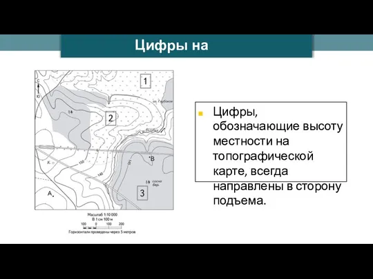 Ilya Schurov Цифры, обозначающие высоту местности на топографической карте, всегда направлены в