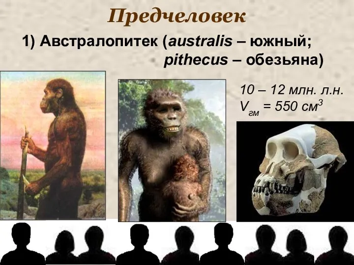 Предчеловек 1) Австралопитек (australis – южный; pithecus – обезьяна) 10 – 12