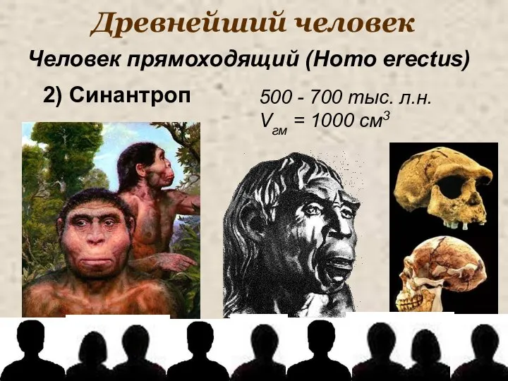Древнейший человек 500 - 700 тыс. л.н. Vгм = 1000 см3 Человек
