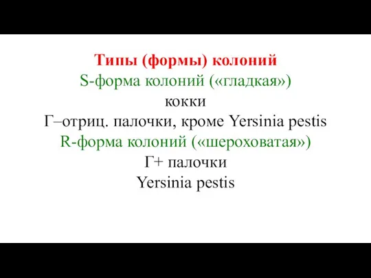 Типы (формы) колоний S-форма колоний («гладкая») кокки Г–отриц. палочки, кроме Yersinia pestis