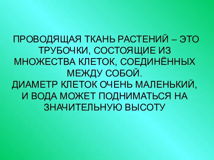 ПРОВОДЯЩАЯ ТКАНЬ РАСТЕНИЙ – ЭТО ТРУБОЧКИ, СОСТОЯЩИЕ ИЗ МНОЖЕСТВА КЛЕТОК, СОЕДИНЁННЫХ МЕЖДУ