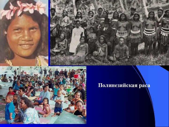 Полинезийская раса