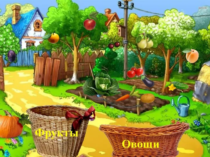 Игра «Овощи, фрукты» Фрукты Овощи