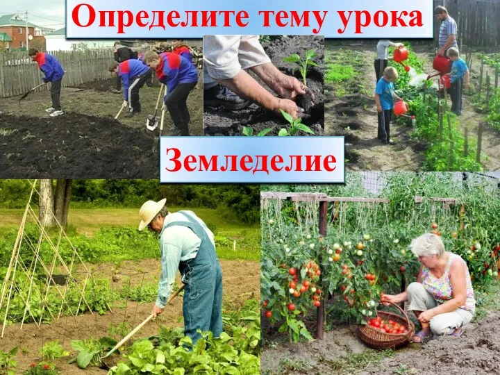 Определите тему урока Земледелие