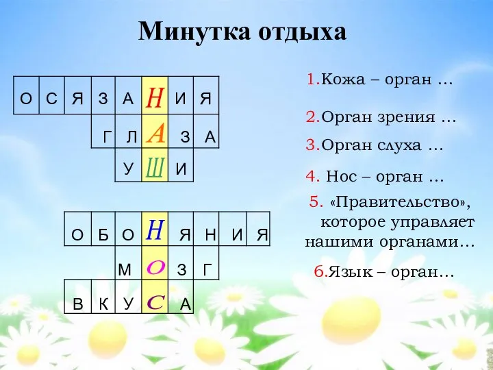 Минутка отдыха 1.Кожа – орган … 2.Орган зрения … 3.Орган слуха …