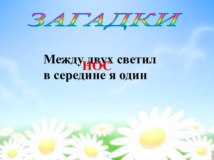 ЗАГАДКИ Между двух светил в середине я один НОС