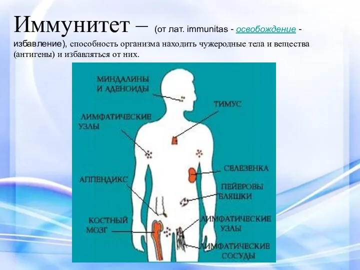 Иммунитет – (от лат. immunitas - освобождение - избавление), способность организма находить