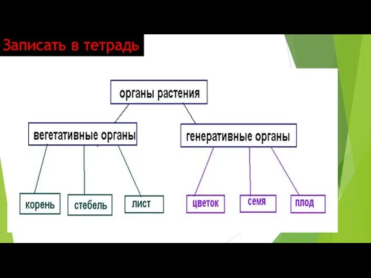 Записать в тетрадь