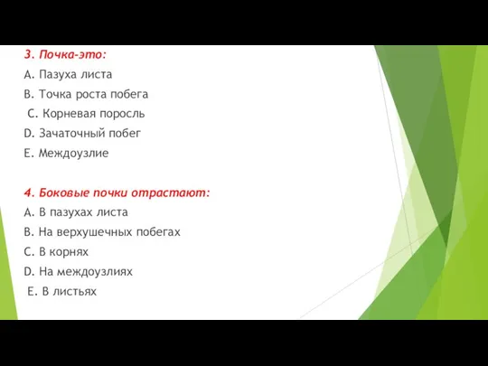 3. Почка-это: А. Пазуха листа В. Точка роста побега С. Корневая поросль