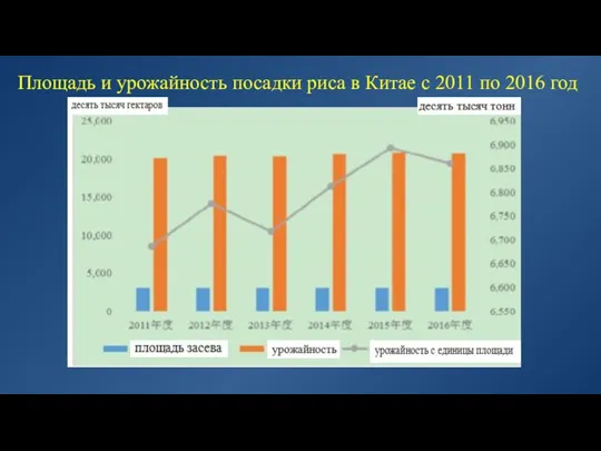 Площадь и урожайность посадки риса в Китае с 2011 по 2016 год