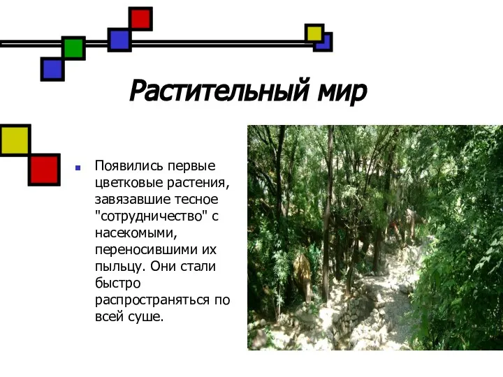 Растительный мир Появились первые цветковые растения, завязавшие тесное "сотрудничество" с насекомыми, переносившими